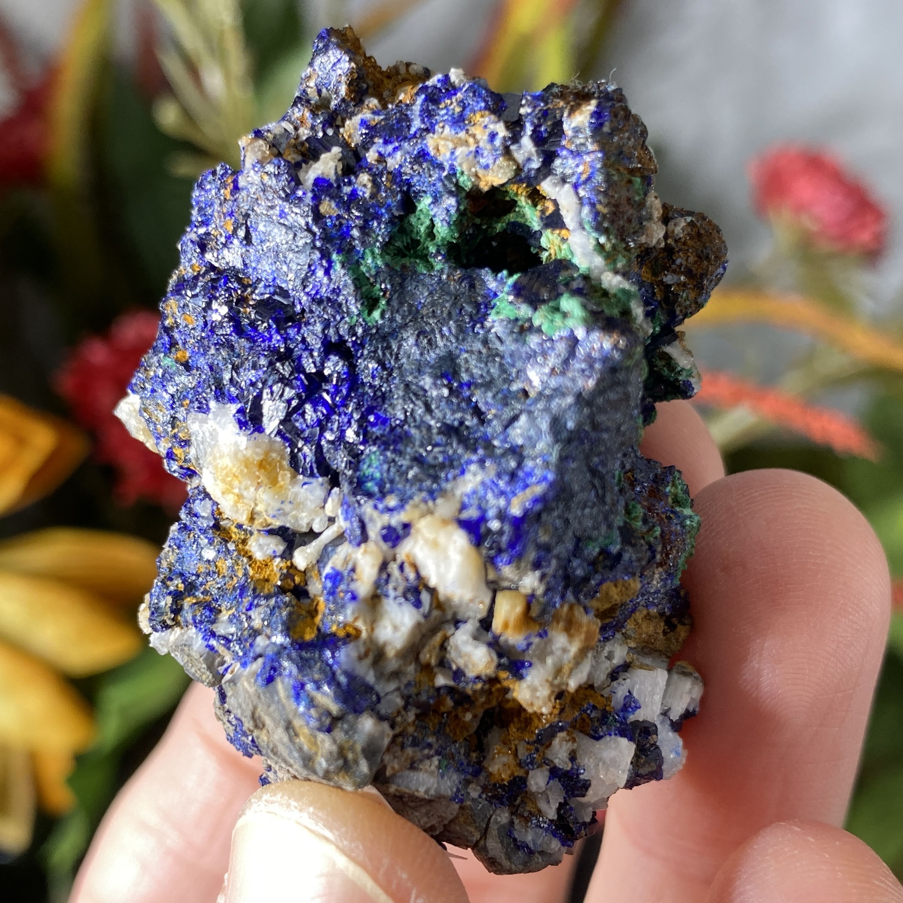 Azurite - Azurite & Malachite Mineral Specimen from Morocco! (C632)